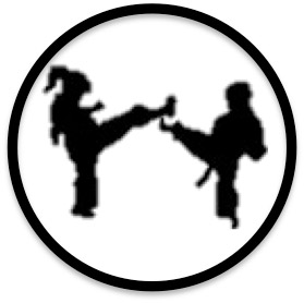 Taekwondo classes Winchester MA